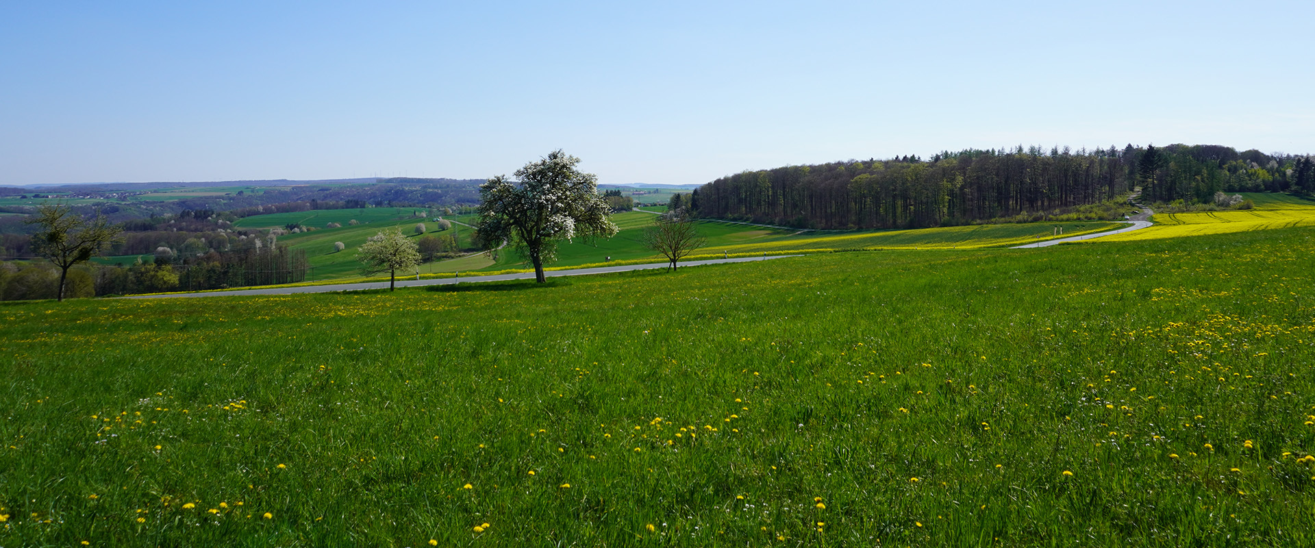 freizeit_header_1.jpg