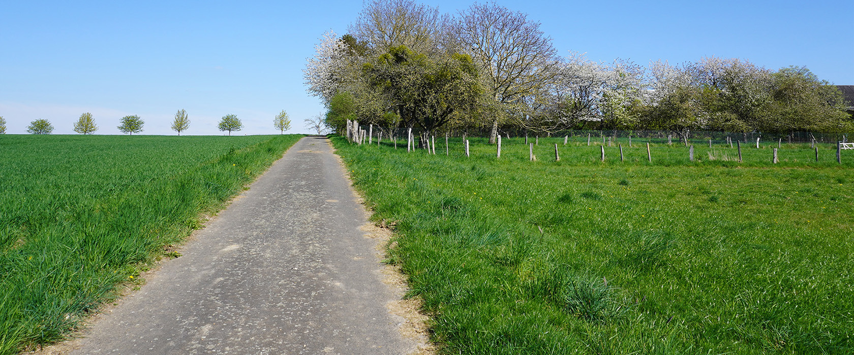 wandern_header_1.jpg