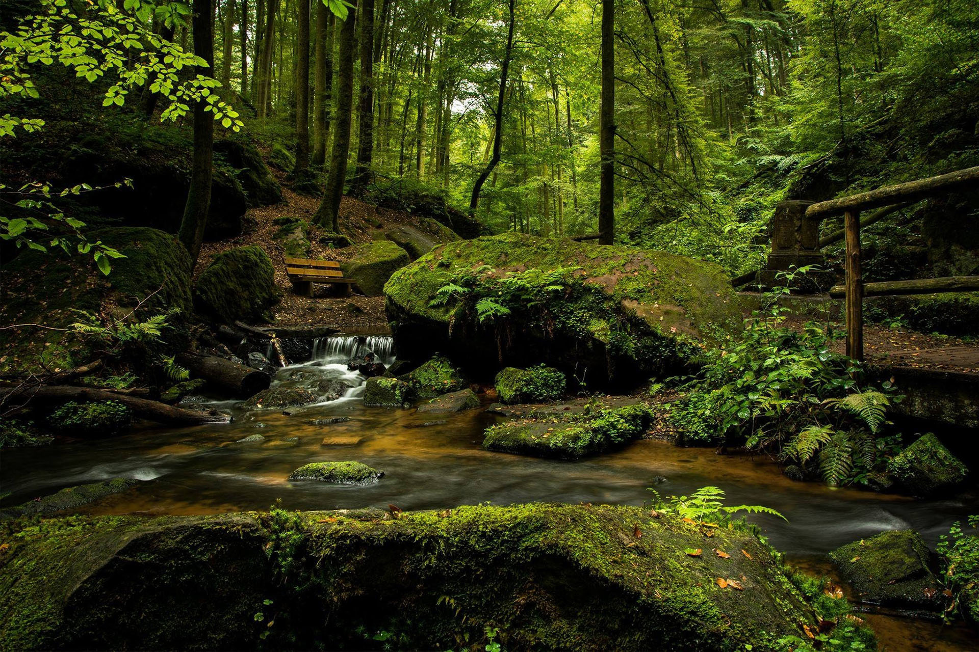 Grubenwanderweg