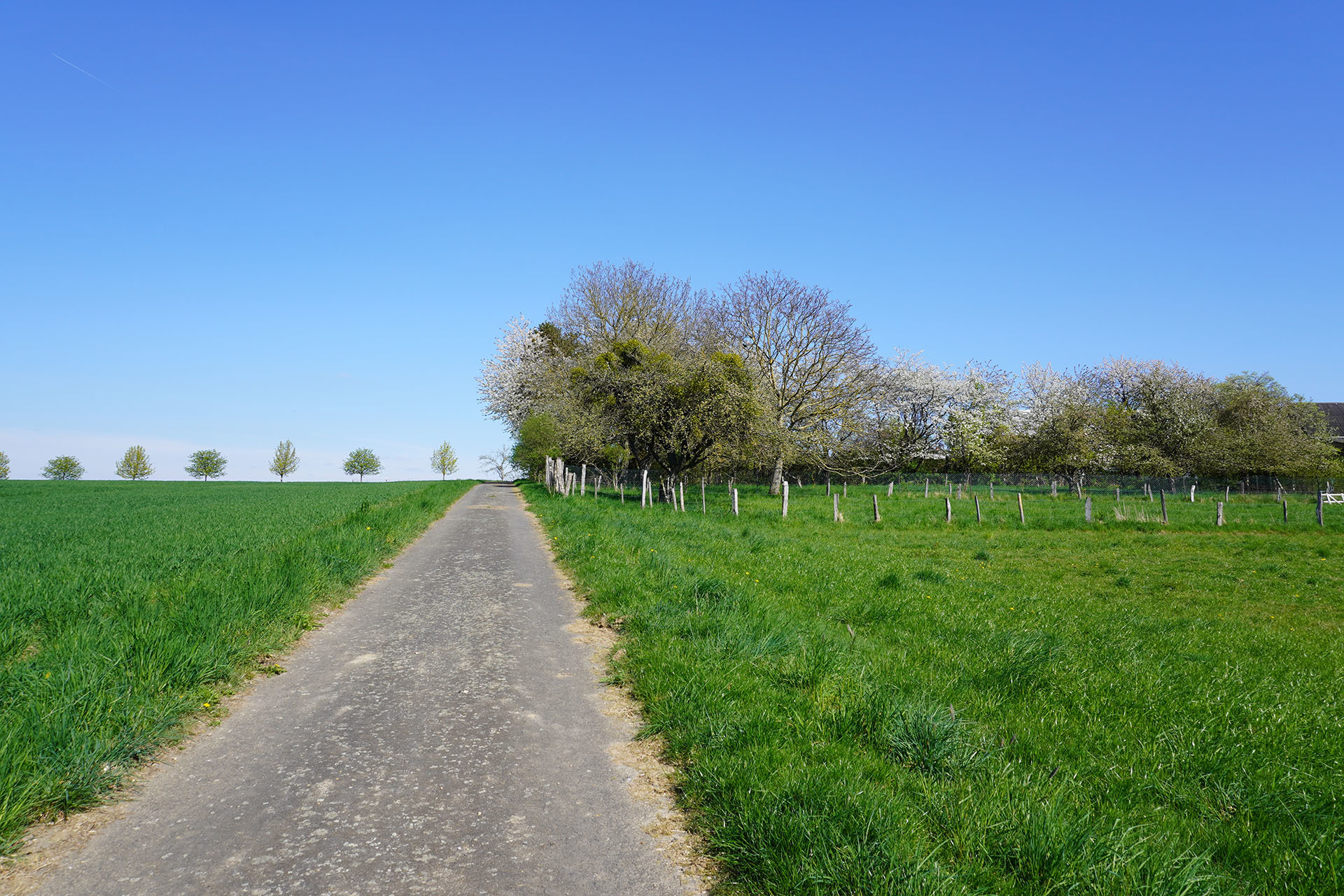 Wandern
